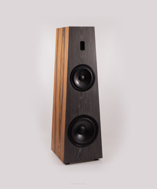 Projekt Audio - PATOM NO.1