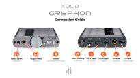 iFi audio xDSD Gryphon (Black) - 3