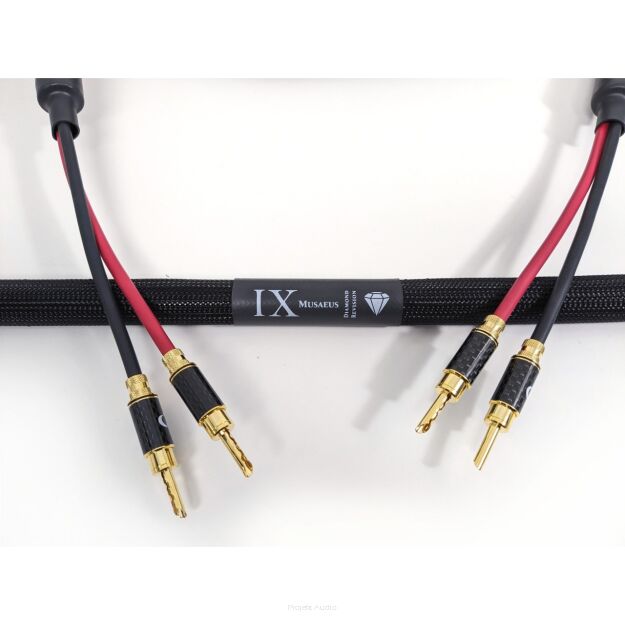 Purist Audio Design MUSAEUS DR Głośnikowe 2x3,0M (BAN-BAN)